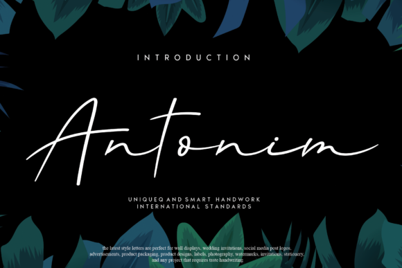 Antonim: The Elegant Handwritten Font for Small Business Branding