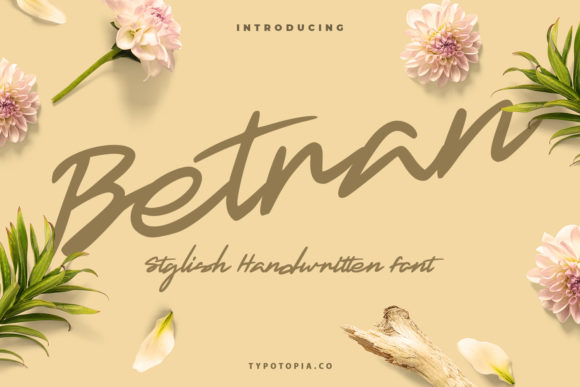 Betran Font: Elevate Your Brand with Handwritten Style