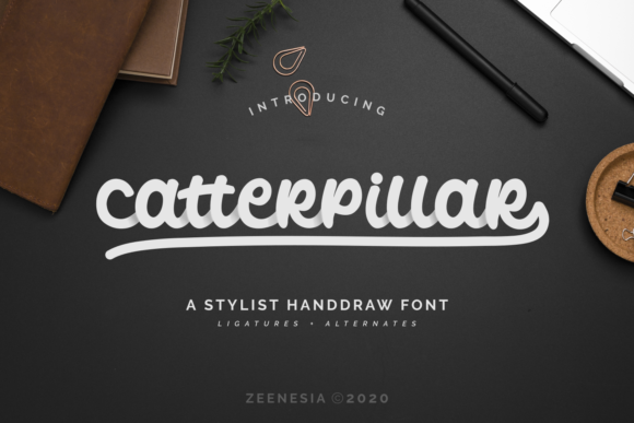 Catterpillar: A Script Handwritten Font for Editorial Design