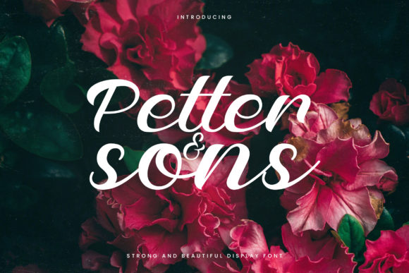 Petter and Sons: A Timeless Script Handwritten Font for Brands