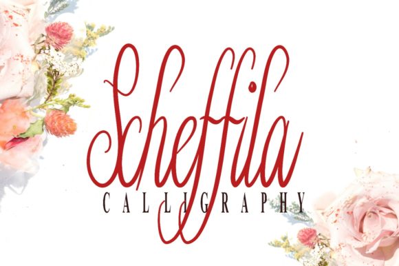 Schefilla: The Elegant Script Font for Small Business Branding
