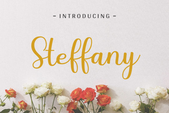 Steffany Font: Elegant Script for Modern Campaigns